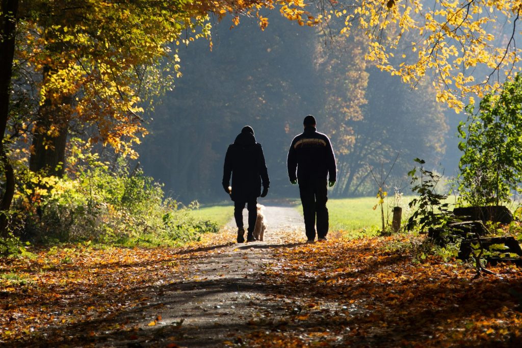 Two men walking side by side along a tree-lined path in autumn sunshine